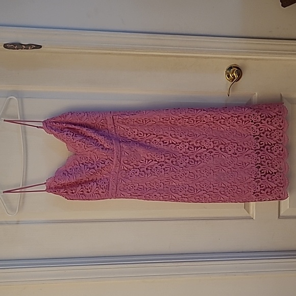 NWT J.Crew Guipure Pink Spaghetti Strap Lace Lined Scalloped Neckline/Hem Dress - Picture 5 of 17